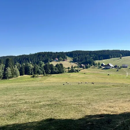 Peaks & Pines | Sauna + Pool * Schönwalde